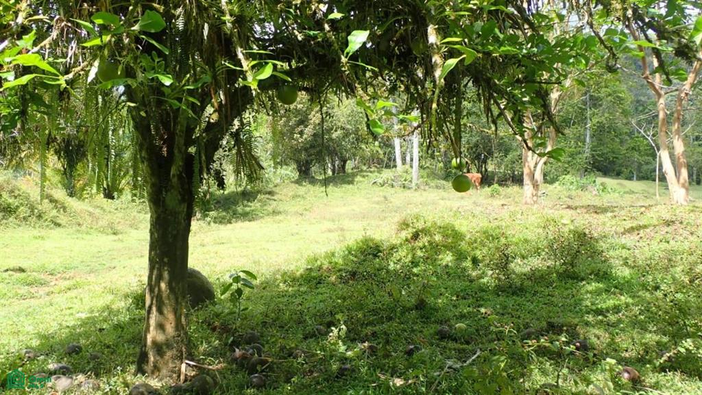 Expansive 517-Acre Paradise in Tierras Morenas, Costa Rica , Barú, Perez Zeledon, San Jose
