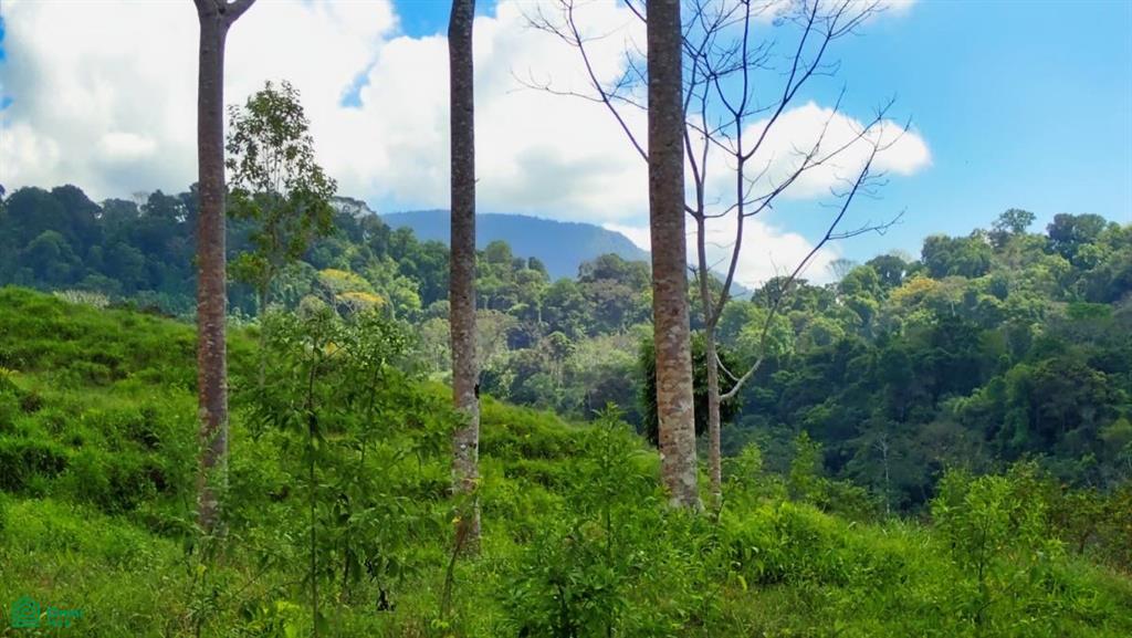 Expansive 517-Acre Paradise in Tierras Morenas, Costa Rica , Barú, Perez Zeledon, San Jose
