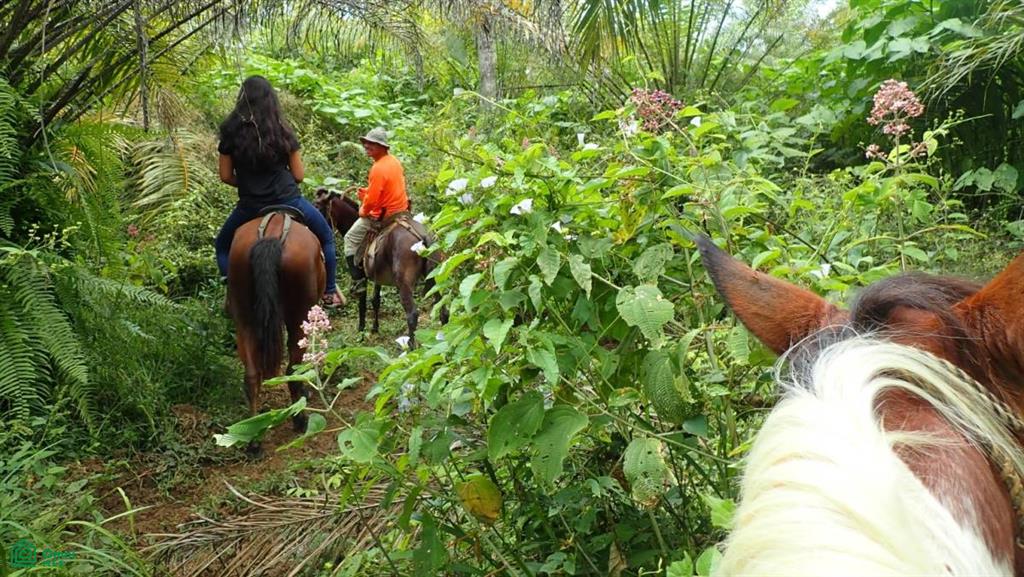 Expansive 517-Acre Paradise in Tierras Morenas, Costa Rica , Barú, Perez Zeledon, San Jose