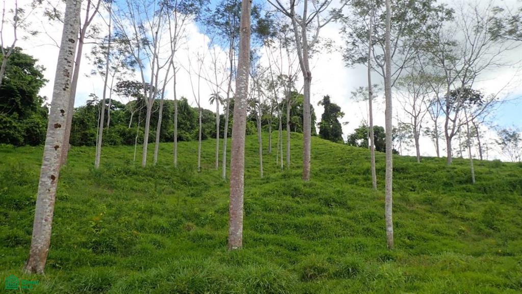 Expansive 517-Acre Paradise in Tierras Morenas, Costa Rica , Barú, Perez Zeledon, San Jose