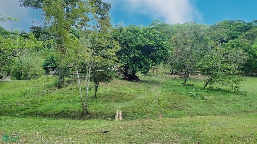 Expansive 517-Acre Paradise in Tierras Morenas, Costa Rica , Barú, Perez Zeledon, San Jose