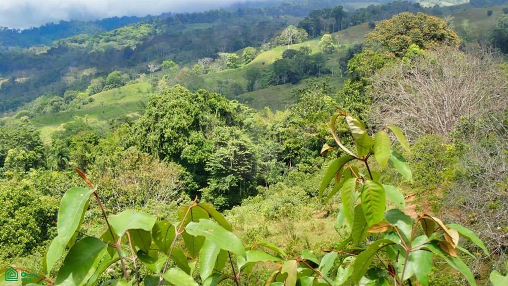 Expansive 517-Acre Paradise in Tierras Morenas, Costa Rica , Barú, Perez Zeledon, San Jose
