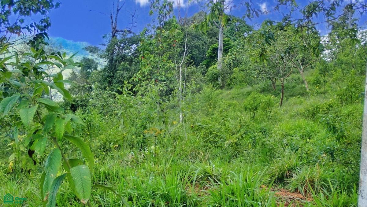 Expansive 517-Acre Paradise in Tierras Morenas, Costa Rica , Barú, Perez Zeledon, San Jose