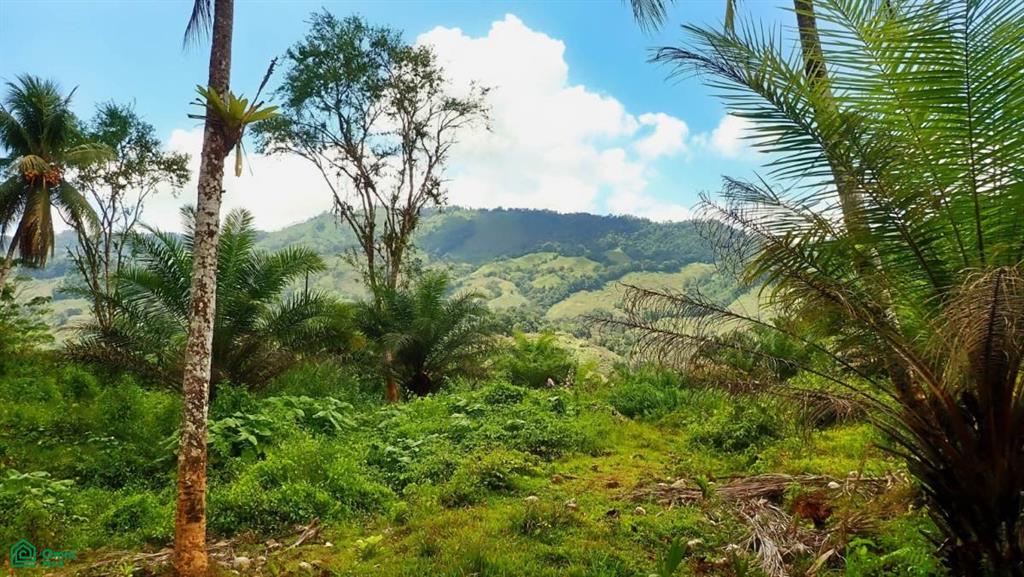 Expansive 517-Acre Paradise in Tierras Morenas, Costa Rica , Barú, Perez Zeledon, San Jose