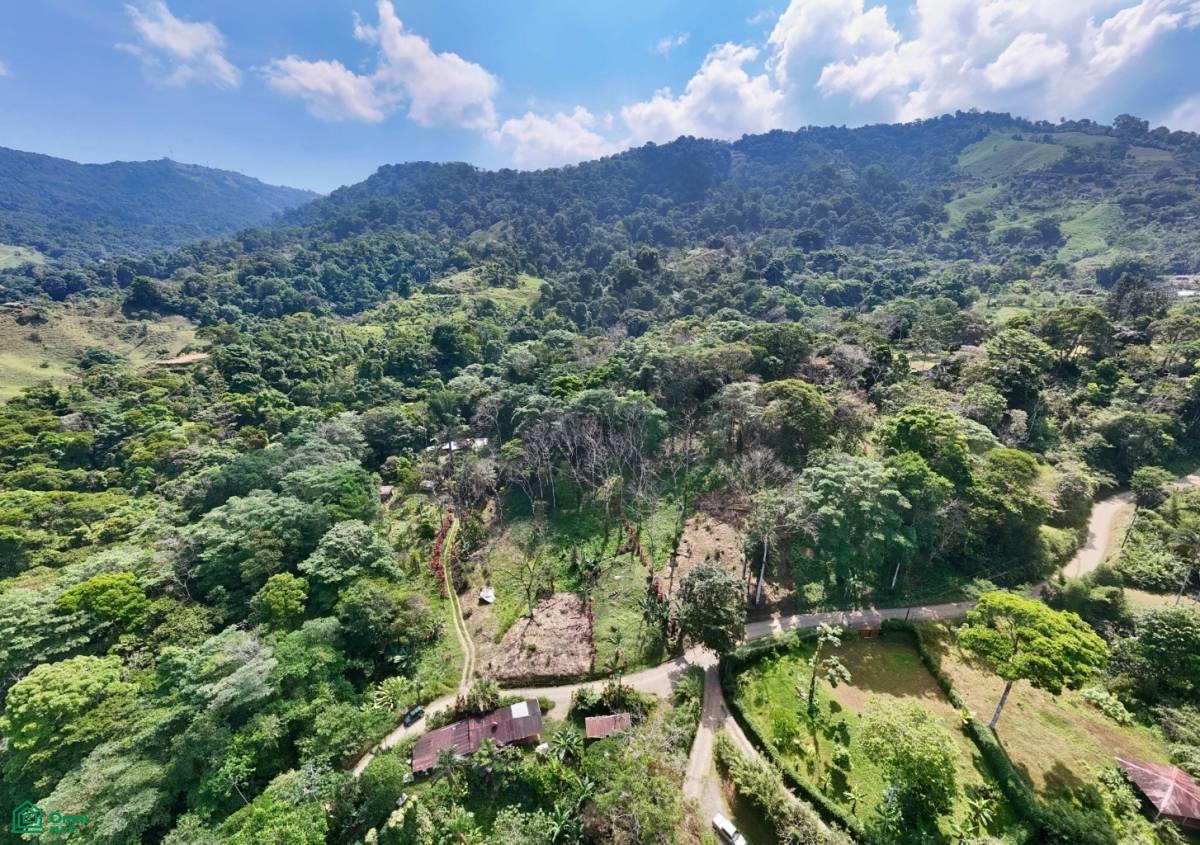 Stunning Property East of Cana Blanca near Tinamaste , Tinamaste, Perez Zeledon, San Jose