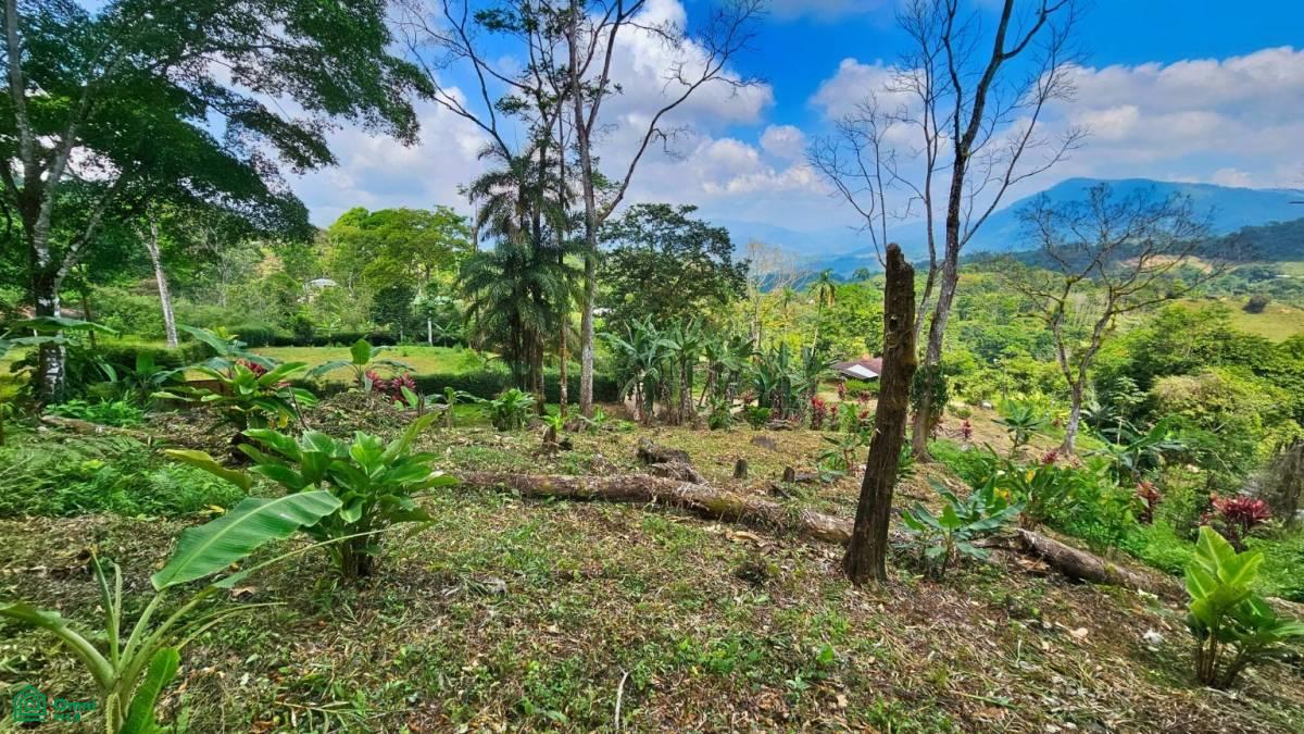 Stunning Property East of Cana Blanca near Tinamaste , Tinamaste, Perez Zeledon, San Jose