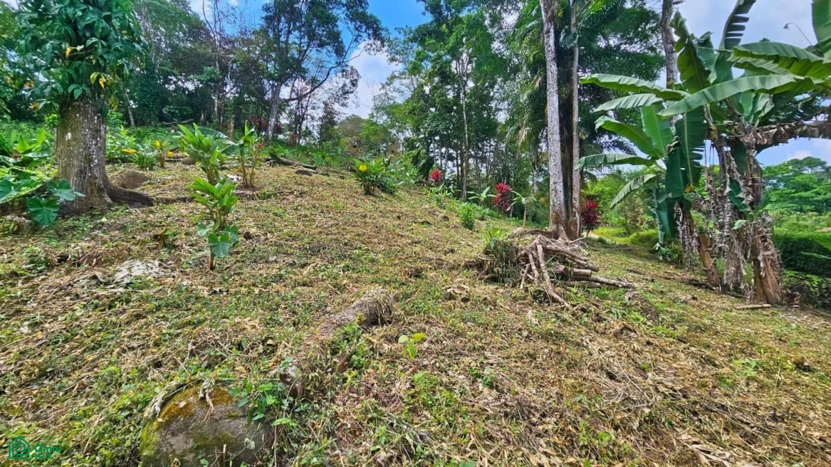 Stunning Property East of Cana Blanca near Tinamaste , Tinamaste, Perez Zeledon, San Jose