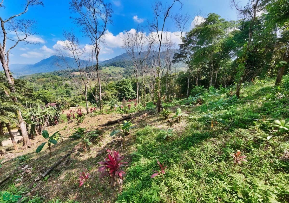 Stunning Property East of Cana Blanca near Tinamaste , Tinamaste, Perez Zeledon, San Jose