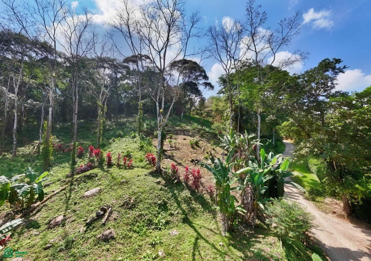 Stunning Property East of Cana Blanca near Tinamaste , Tinamaste, Perez Zeledon, San Jose