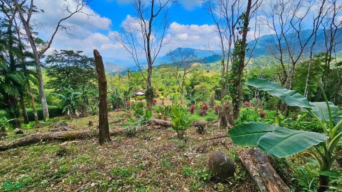 Stunning Property East of Cana Blanca near Tinamaste , Tinamaste, Perez Zeledon, San Jose