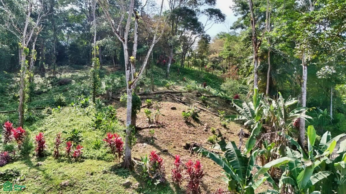 Stunning Property East of Cana Blanca near Tinamaste , Tinamaste, Perez Zeledon, San Jose