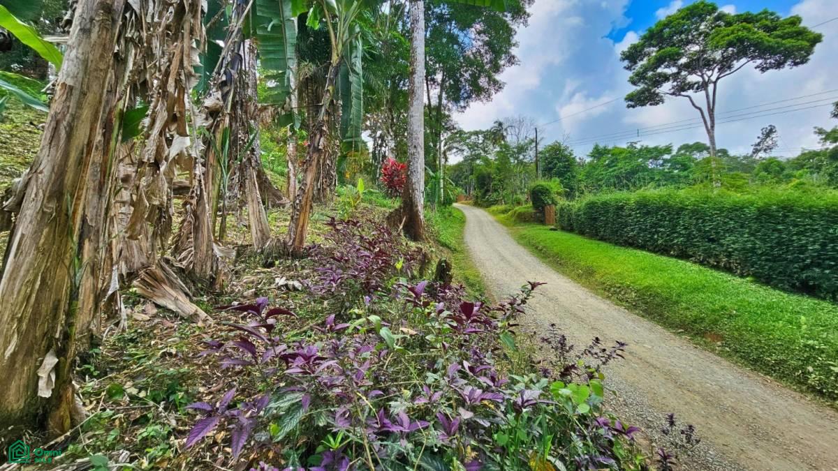 Stunning Property East of Cana Blanca near Tinamaste , Tinamaste, Perez Zeledon, San Jose