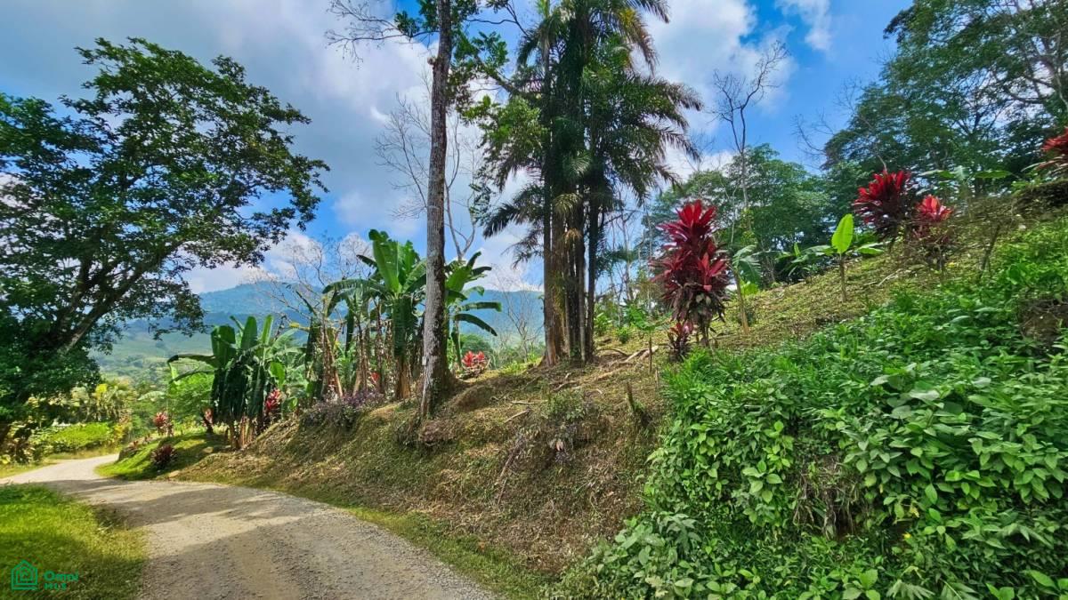 Stunning Property East of Cana Blanca near Tinamaste , Tinamaste, Perez Zeledon, San Jose