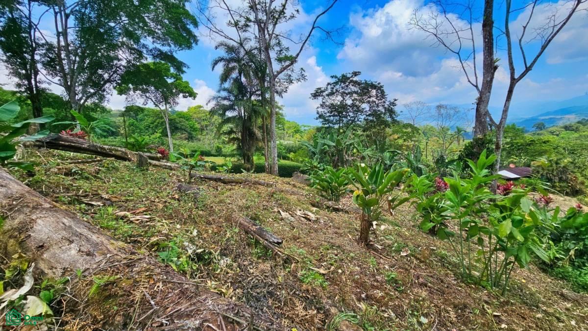 Stunning Property East of Cana Blanca near Tinamaste , Tinamaste, Perez Zeledon, San Jose