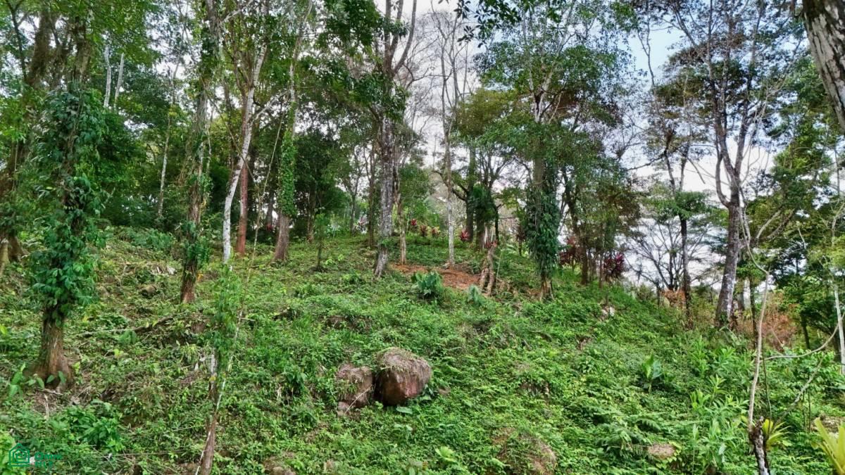 Stunning Property East of Cana Blanca near Tinamaste , Tinamaste, Perez Zeledon, San Jose
