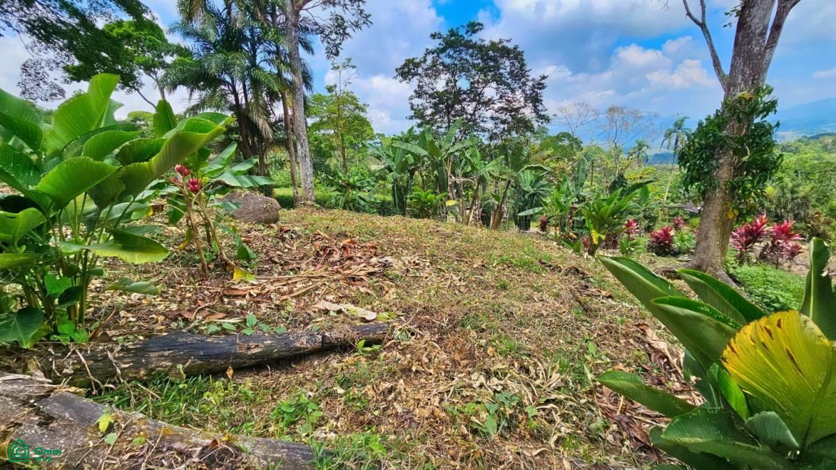 Stunning Property East of Cana Blanca near Tinamaste , Tinamaste, Perez Zeledon, San Jose