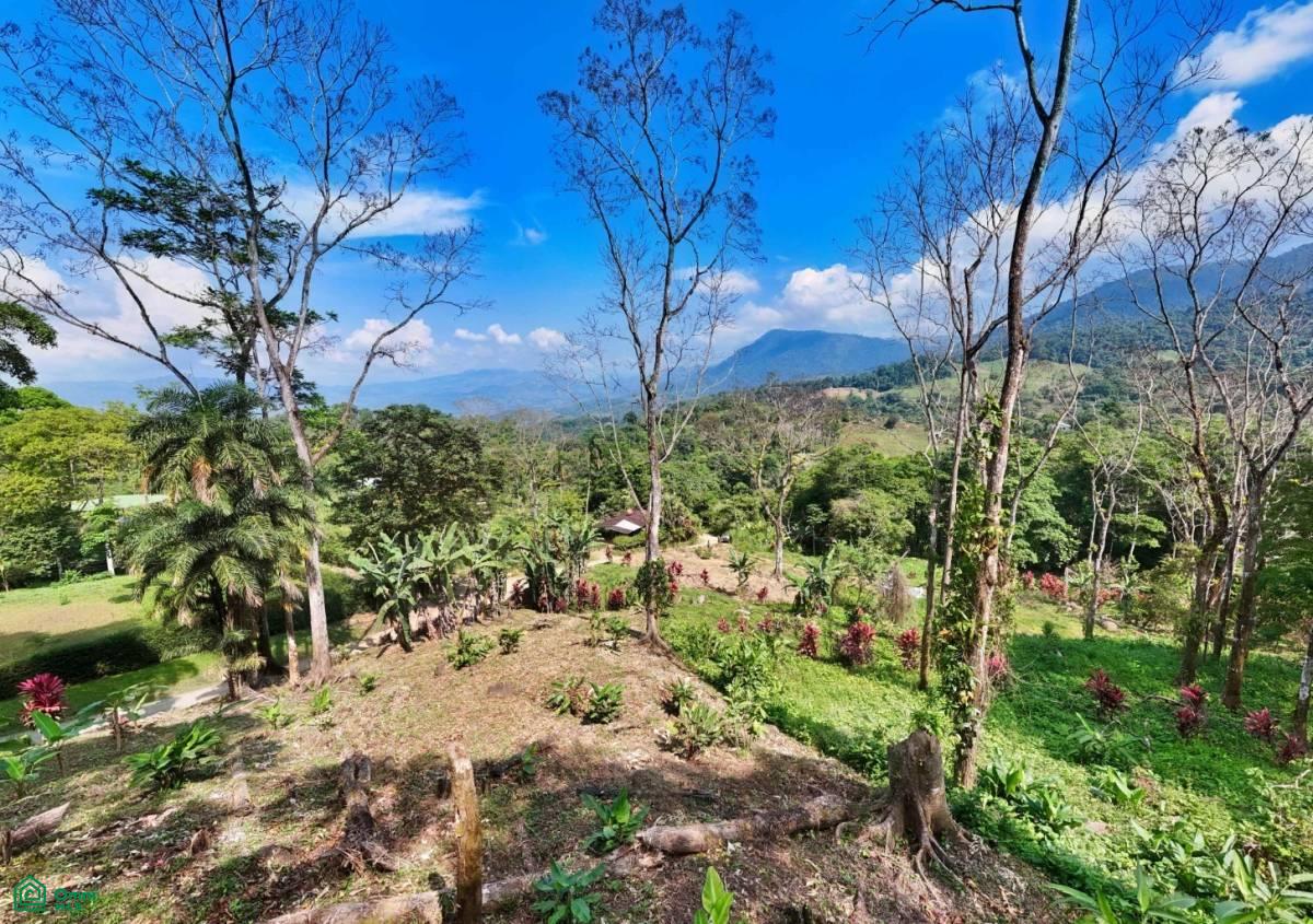 Stunning Property East of Cana Blanca near Tinamaste , Tinamaste, Perez Zeledon, San Jose