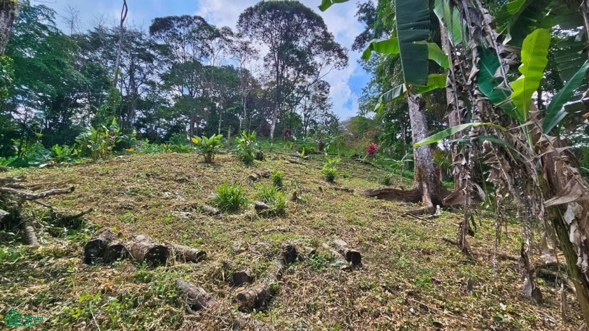 Stunning Property East of Cana Blanca near Tinamaste , Tinamaste, Perez Zeledon, San Jose