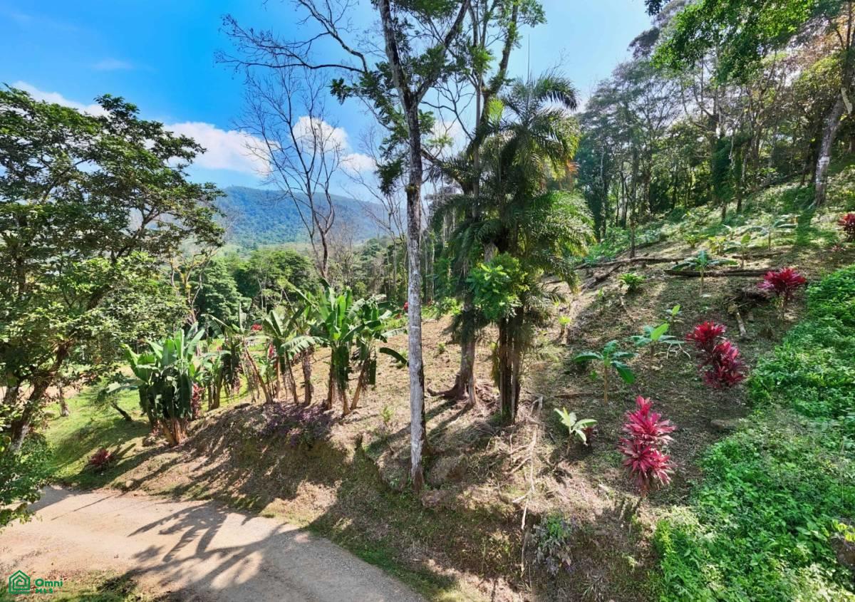 Stunning Property East of Cana Blanca near Tinamaste , Tinamaste, Perez Zeledon, San Jose