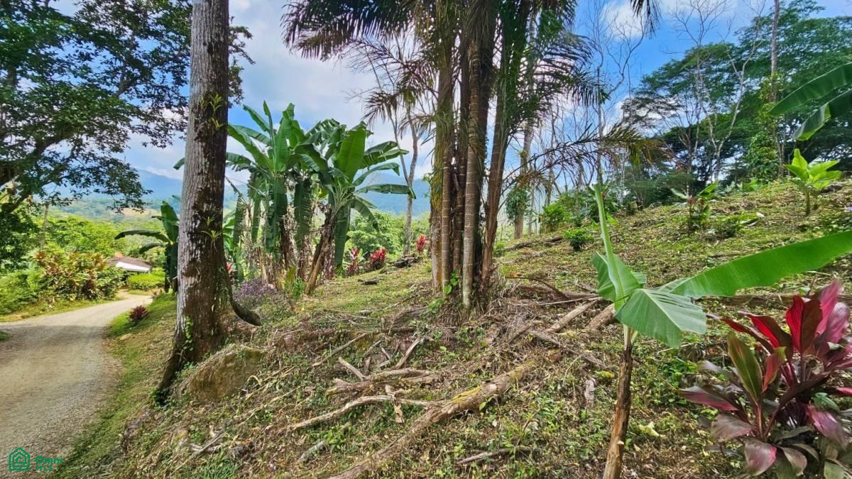 Stunning Property East of Cana Blanca near Tinamaste , Tinamaste, Perez Zeledon, San Jose