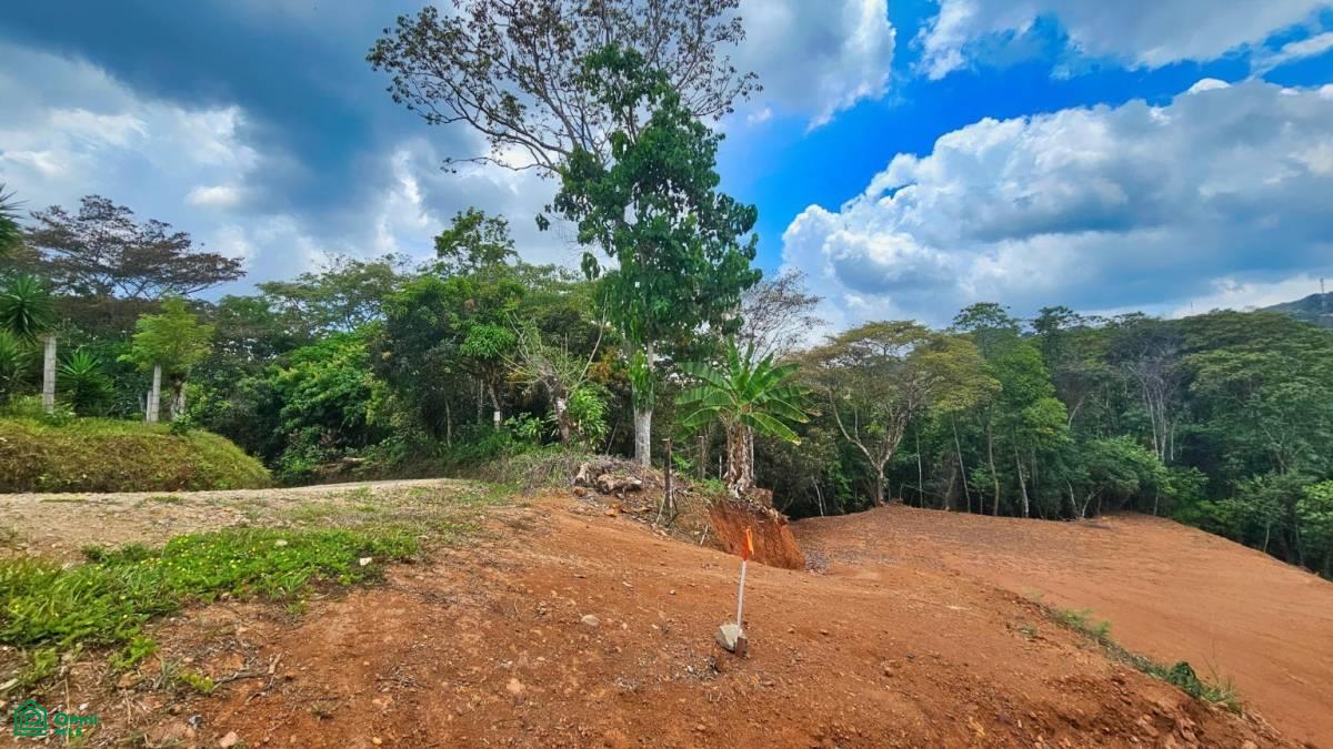 Prime 1,500 sqm Lot in Quebradas – Tranquility & Convenience Near San Isidro de El General , Miravalles, Perez Zeledon, San Jose