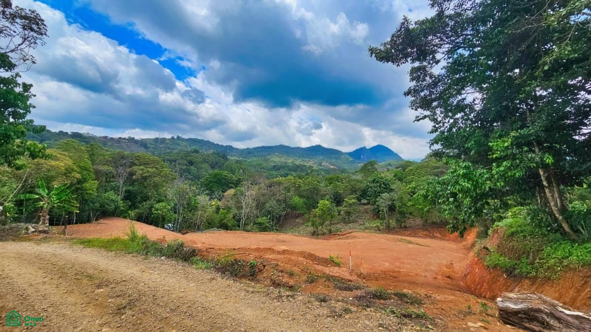 Prime 1,500 sqm Lot in Quebradas – Tranquility & Convenience Near San Isidro de El General , Miravalles, Perez Zeledon, San Jose