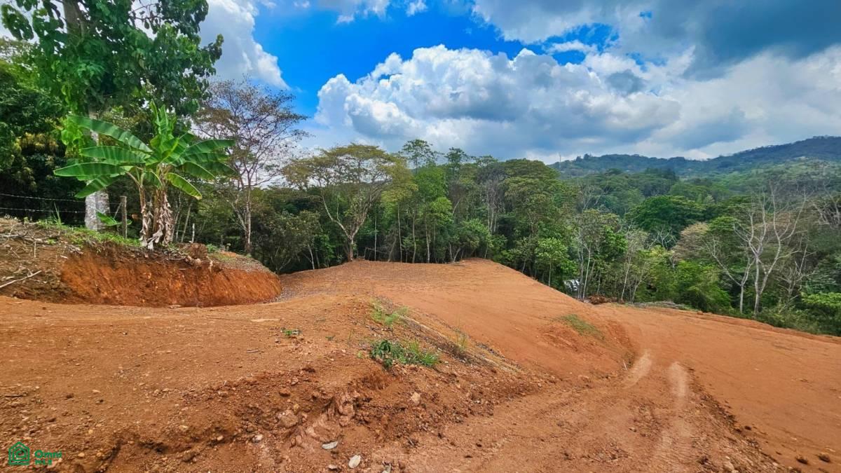 Prime 1,500 sqm Lot in Quebradas – Tranquility & Convenience Near San Isidro de El General , Miravalles, Perez Zeledon, San Jose