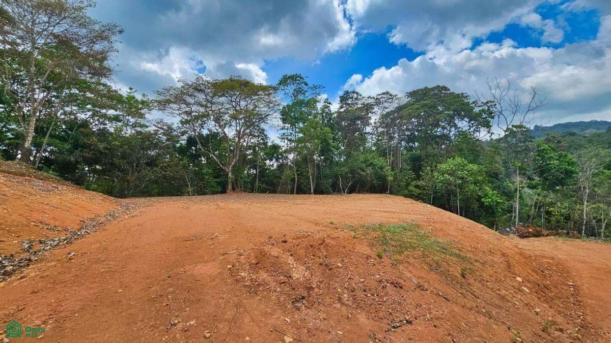 Prime 1,500 sqm Lot in Quebradas – Tranquility & Convenience Near San Isidro de El General , Miravalles, Perez Zeledon, San Jose