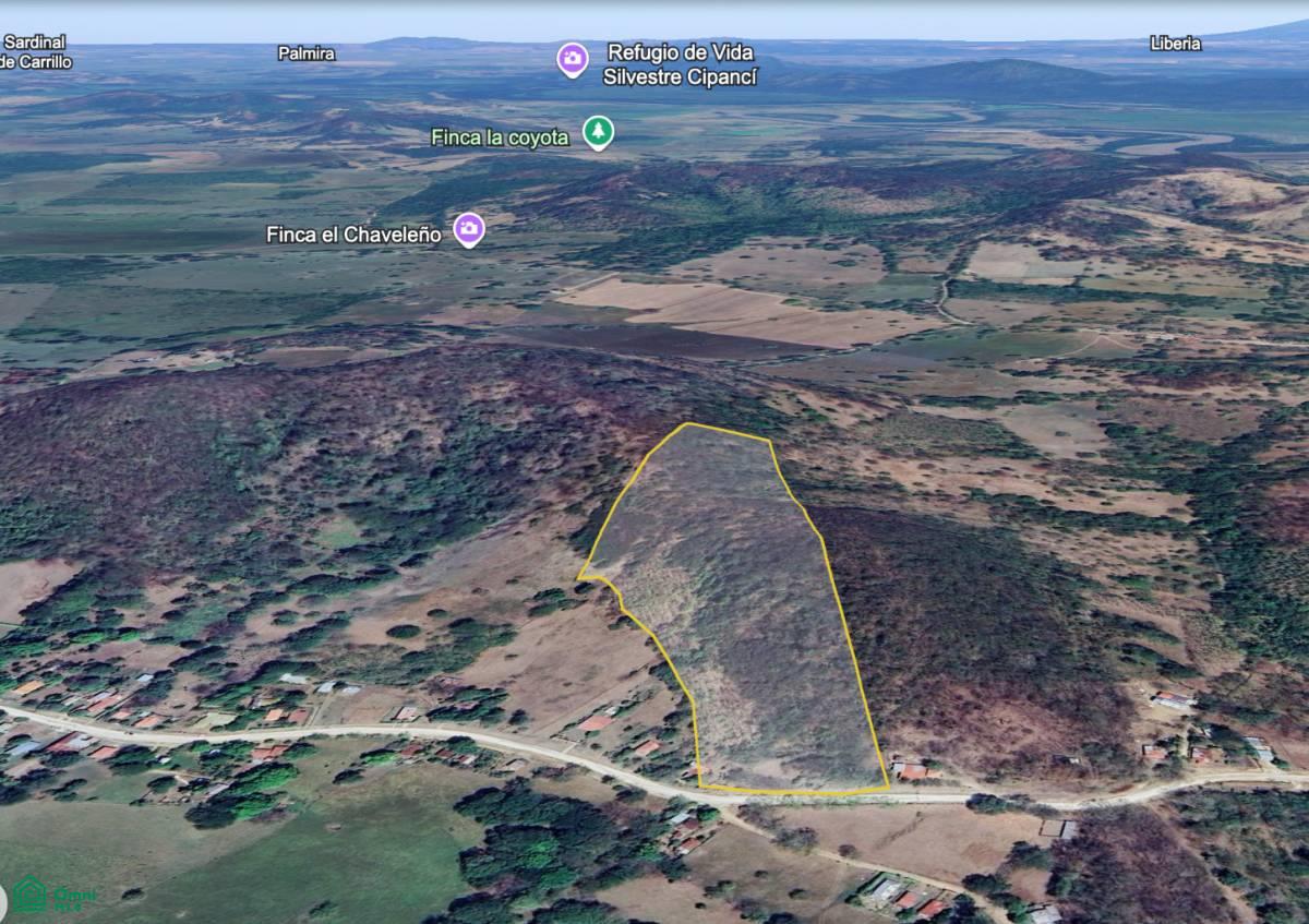 Lot 15.84 acres / San Antonio, Guanacaste