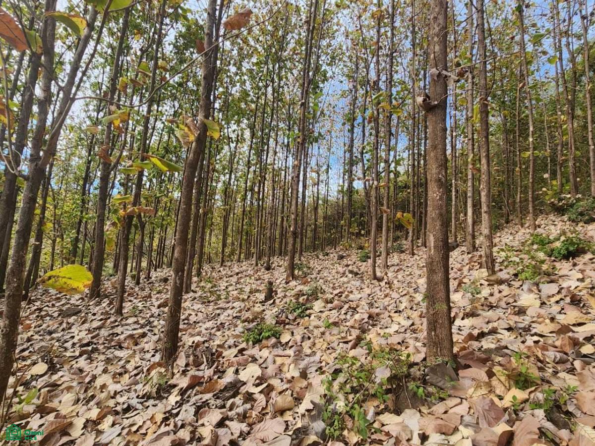 Lot 15.84 acres / San Antonio, Guanacaste