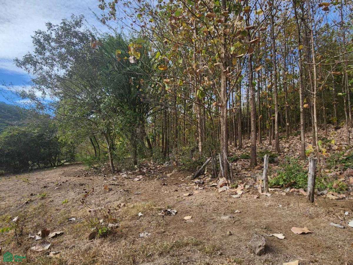 Lot 15.84 acres / San Antonio, Guanacaste
