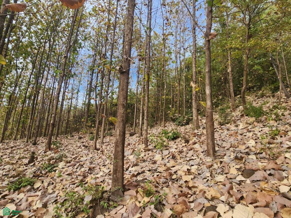 Lot 15.84 acres / San Antonio, Guanacaste