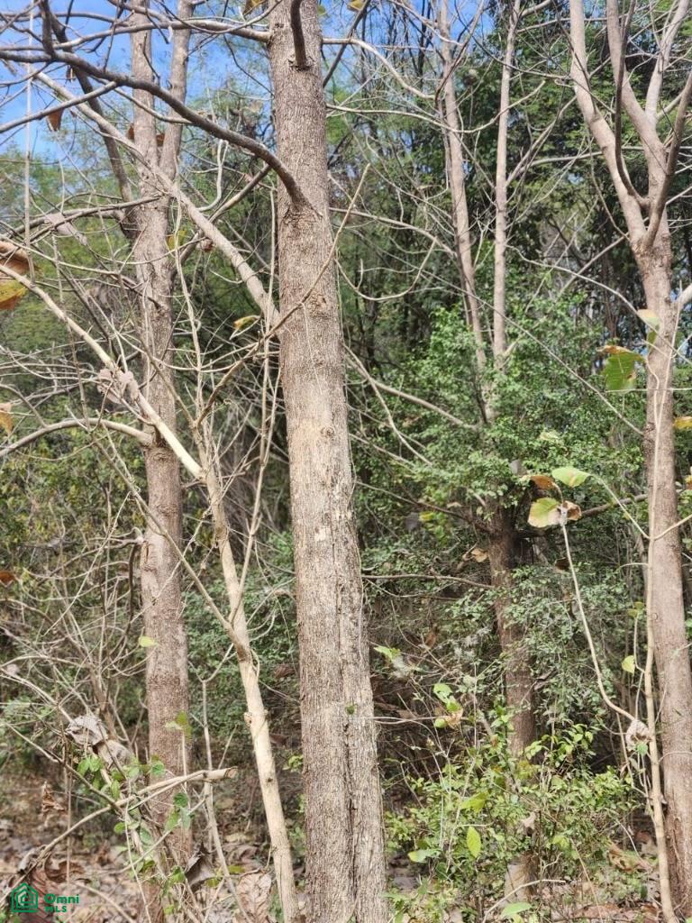 Lot 15.84 acres / San Antonio, Guanacaste