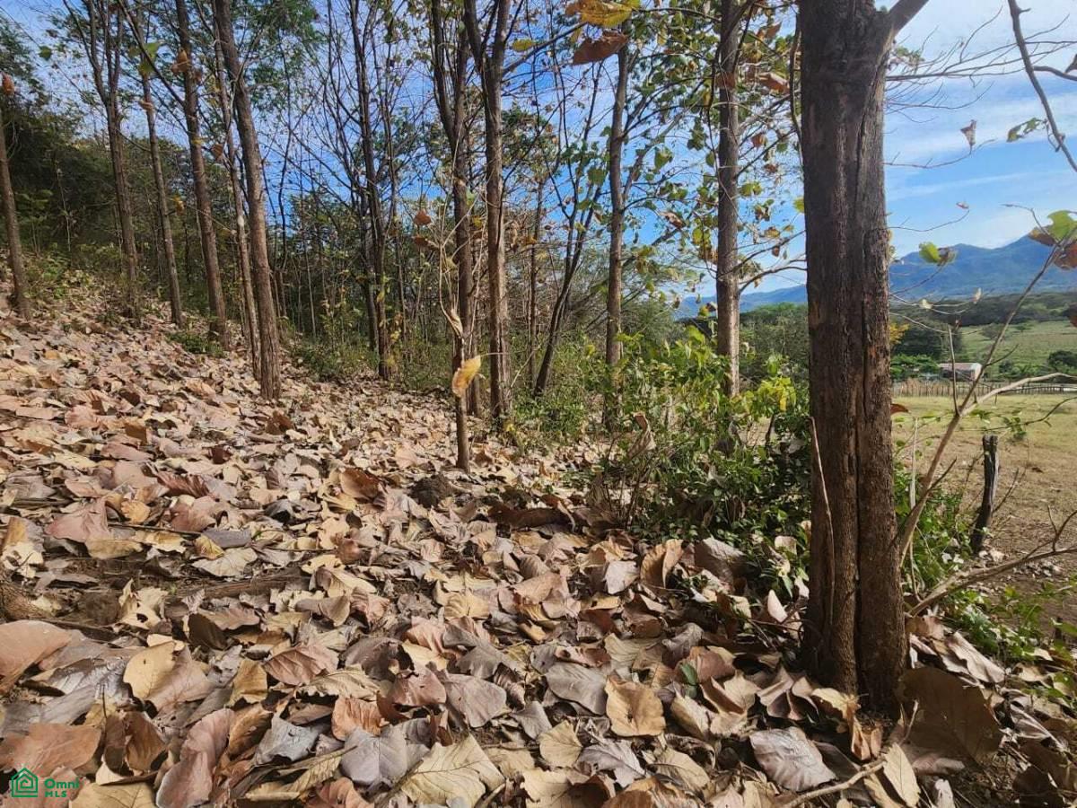Lot 15.84 acres / San Antonio, Guanacaste