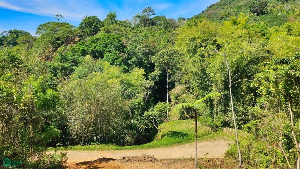 Finca 42 acres