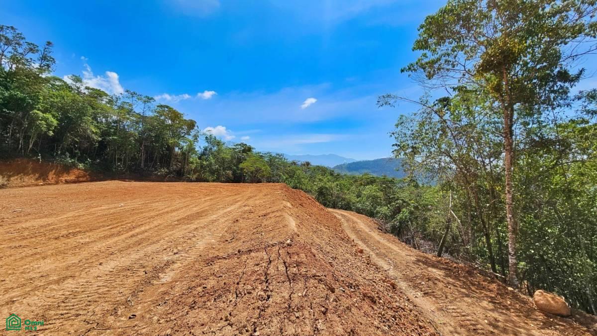 Finca 42 acres