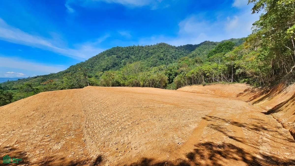 Finca 42 acres