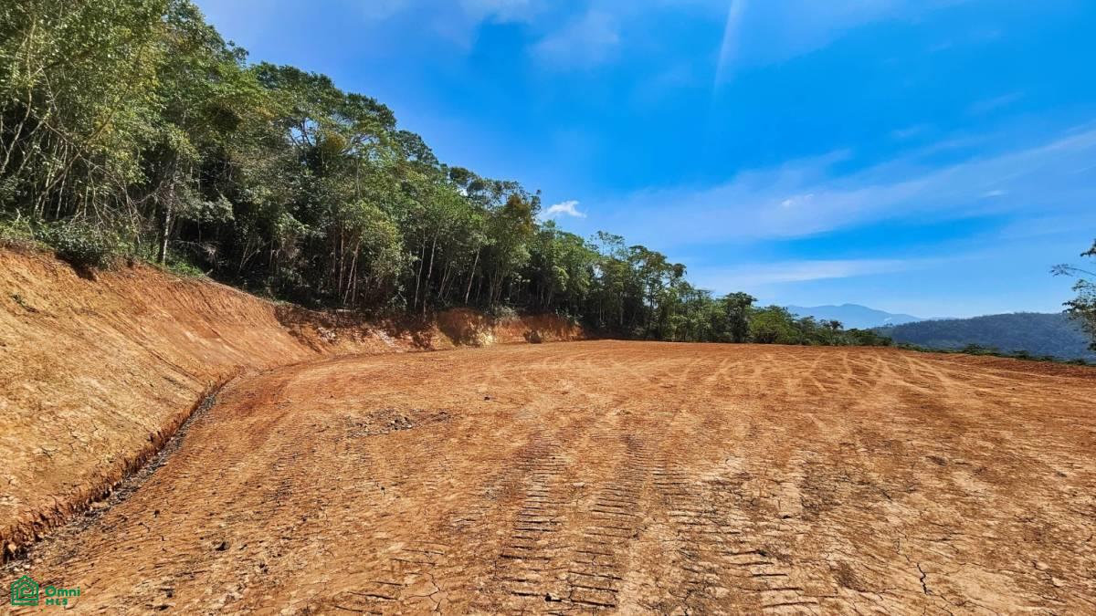 Finca 42 acres
