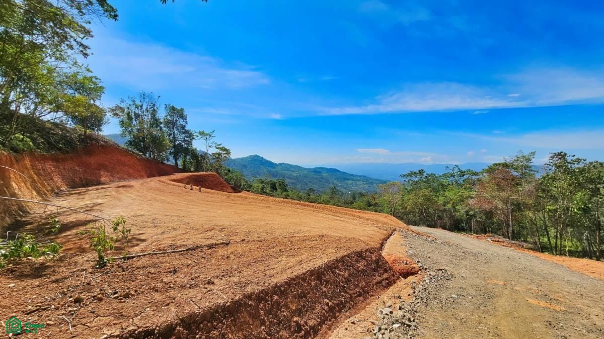 Finca 42 acres