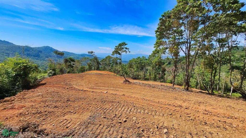 Finca 42 acres