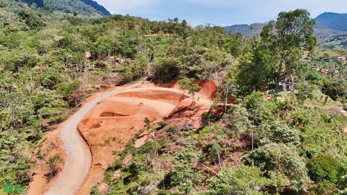 Finca 42 acres