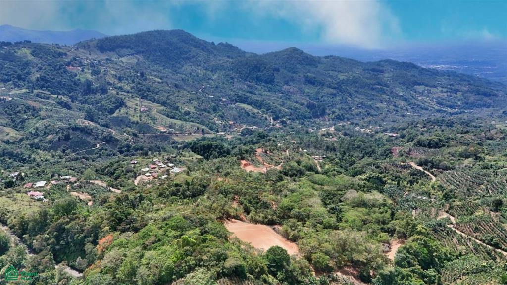 Finca 42 acres