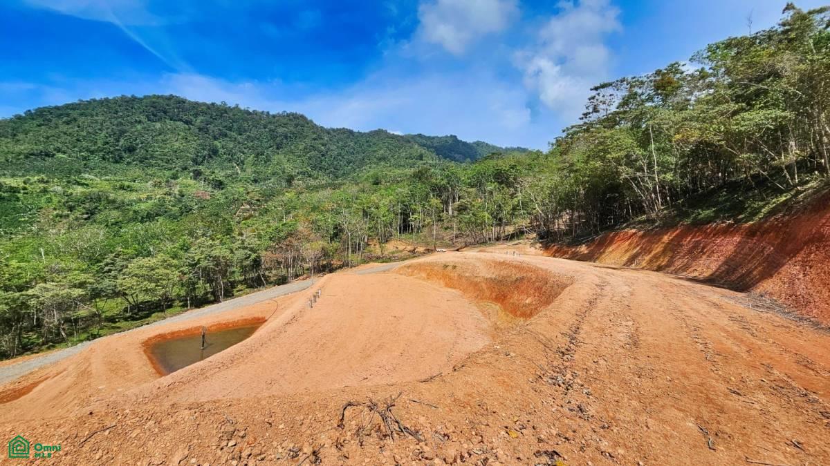 Finca 42 acres