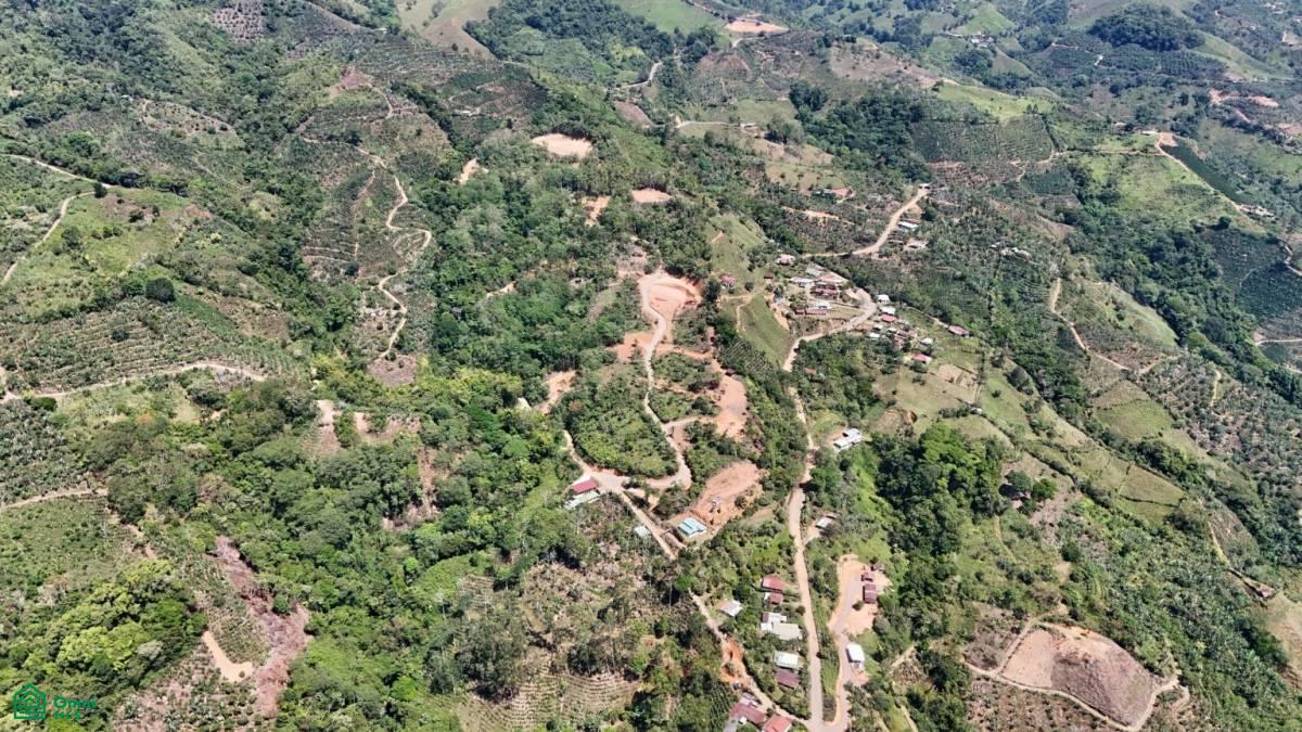 Finca 42 acres
