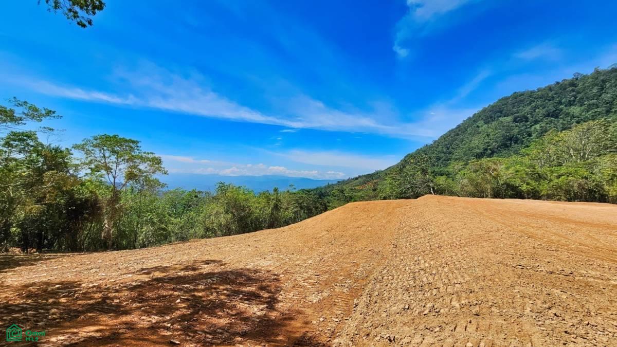 Finca 42 acres