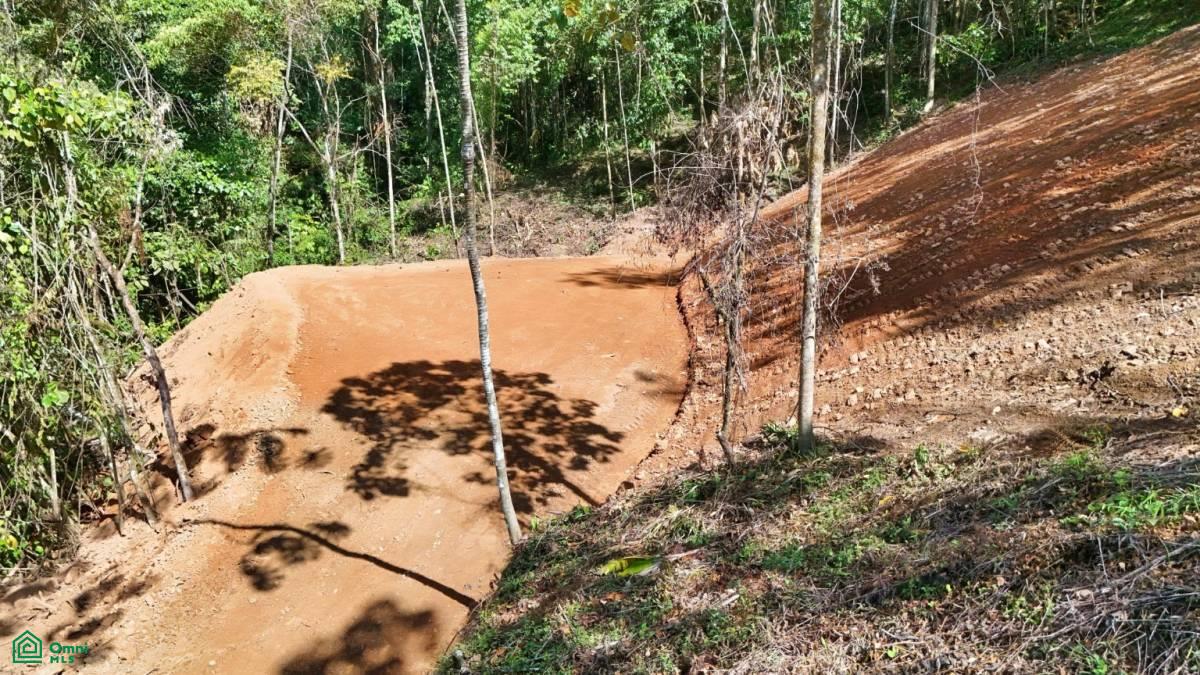 Finca 42 acres