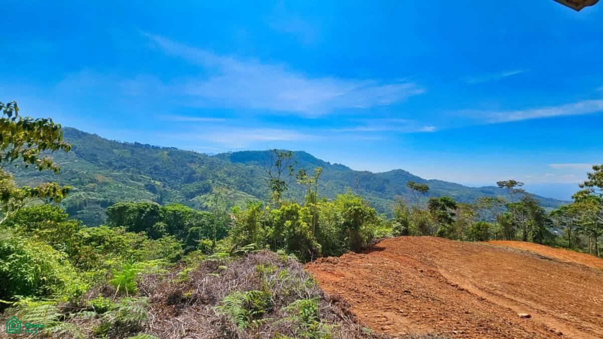 Finca 42 acres