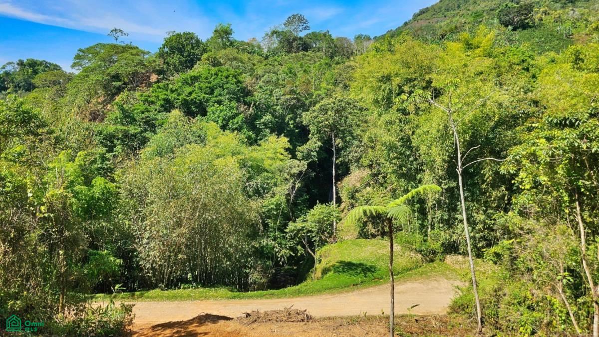 Finca 42 acres