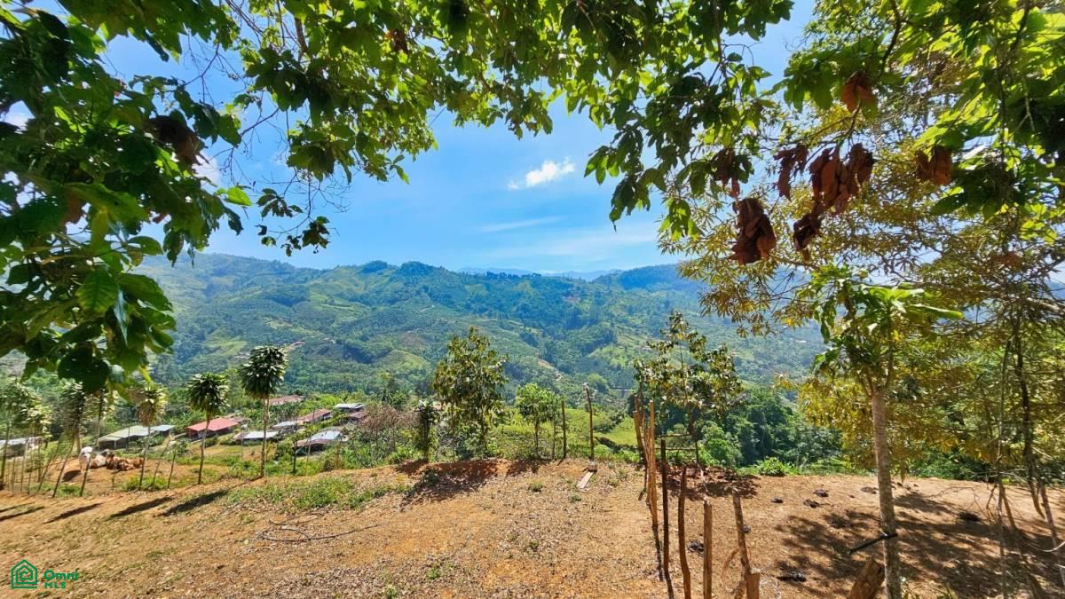 Finca 42 acres