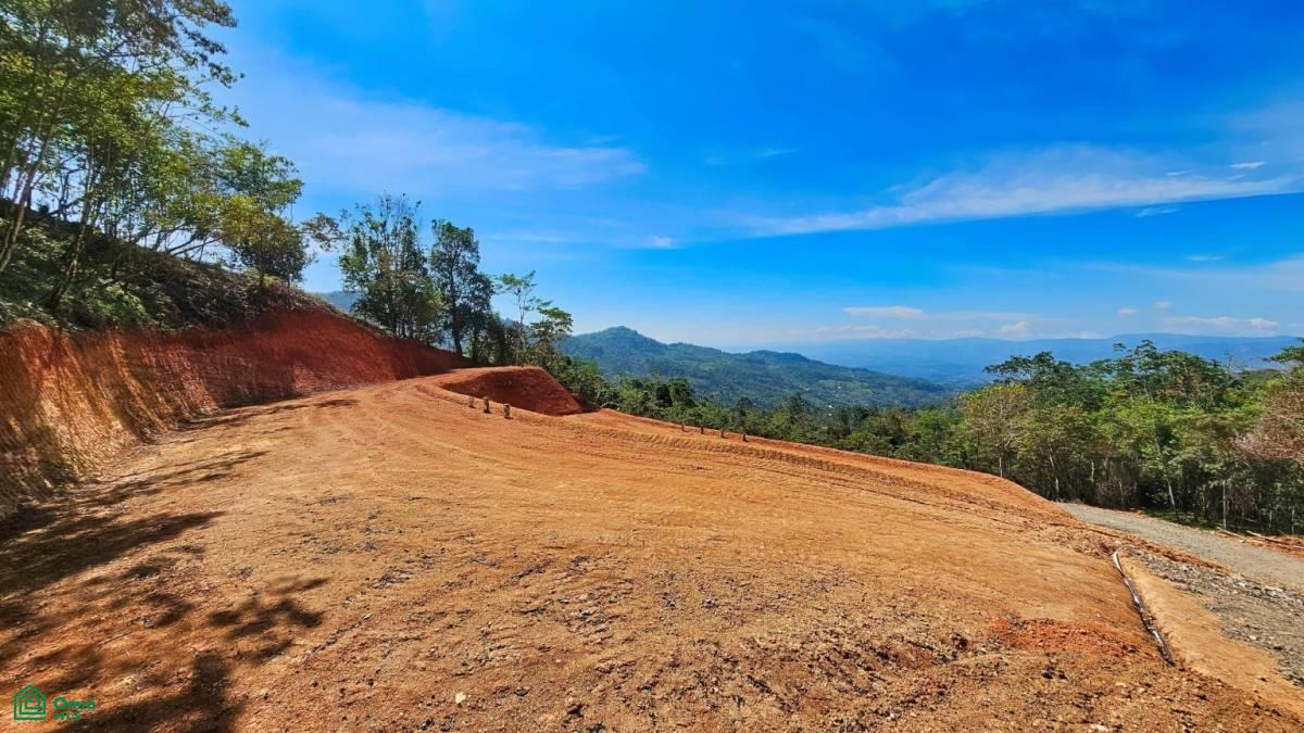 Finca 42 acres